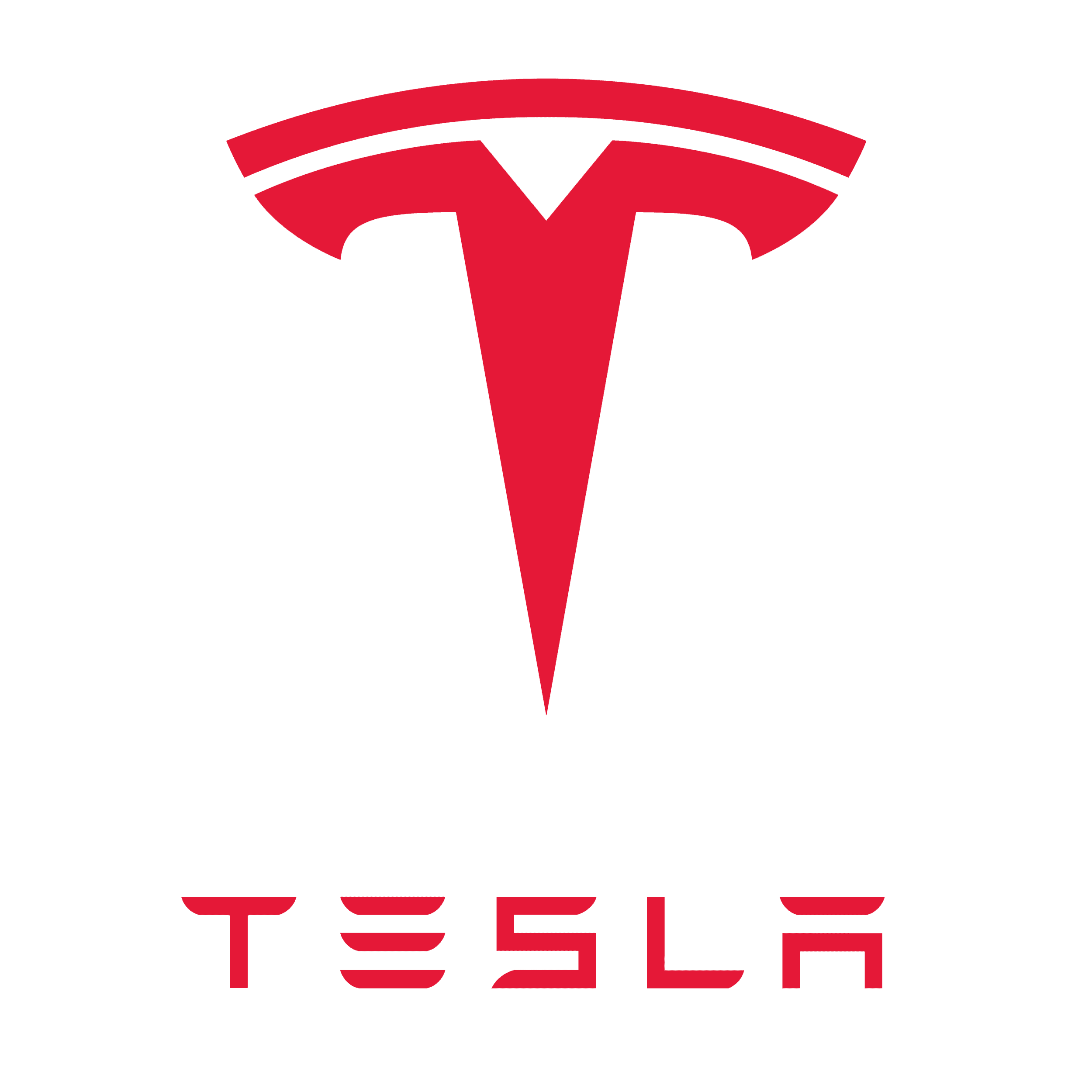 Logo Tesla